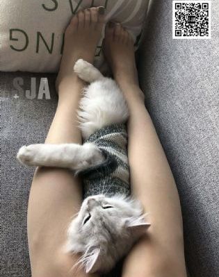国产什么红酒好_高清免费播放